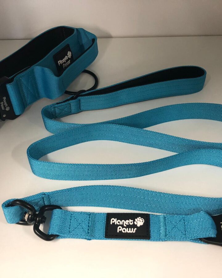 Planet Paws Leash and Collors Set