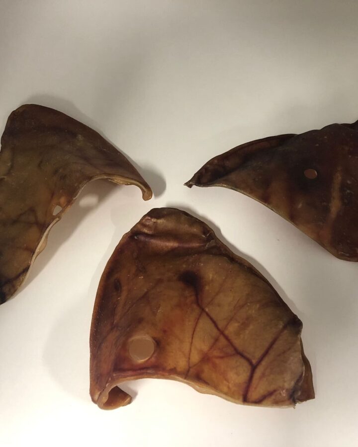 Xlarge pig ears