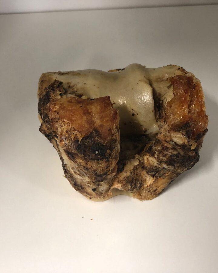 Knuckle bone