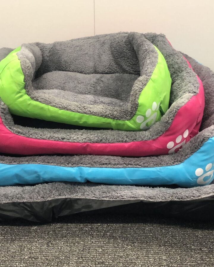 Planet Paws Beds